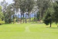 /album/fotogaleria-el-campo-de-juego/foto-5-jpg/